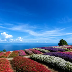 vue du parc hanasijiki a awaji