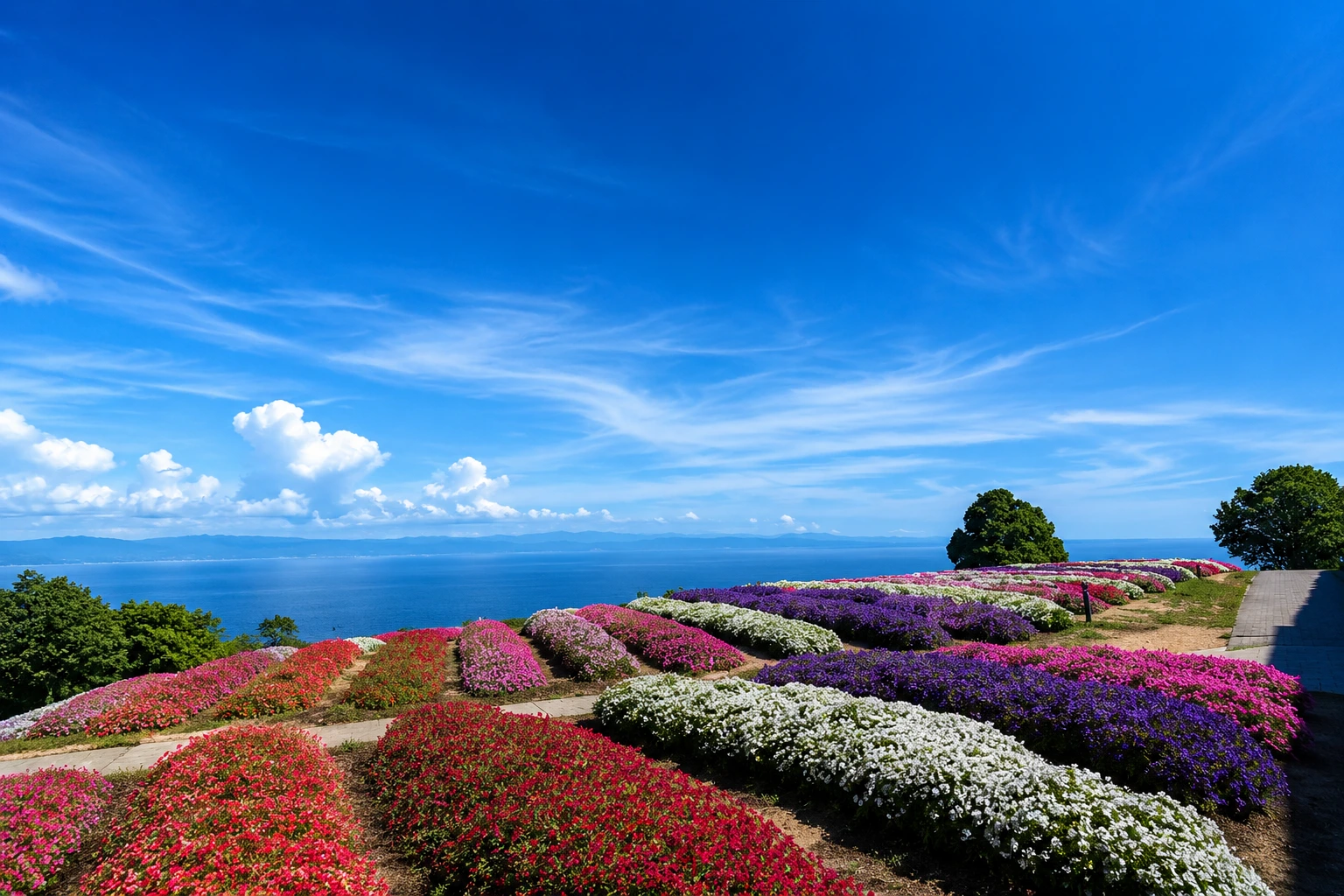 vue du parc hanasijiki a awaji